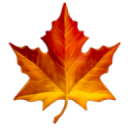 Maple Leaf Appliance Repair