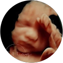 Perfect Timing Ultrasound