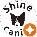 Shine Canine
