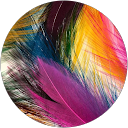 Miglena Semerdzhieva