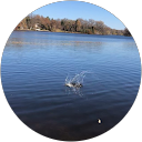 Top Notch Sewer and Drain Cleaning, Inc. Cheryl