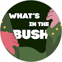 What’s in the bush