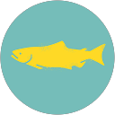 Pacific Salmon Foundation