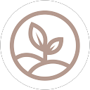 Milestone Chiropractic