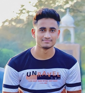 skilled Digital Marketer at Aucio Infotech